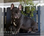 Image preview for Ad Listing. Nickname: Caleb