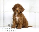 Image preview for Ad Listing. Nickname: Maverick