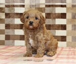 Image preview for Ad Listing. Nickname: Diego