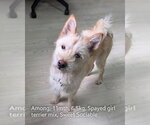 Small #1 Breeder Profile image