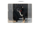 Small #9 Mutt