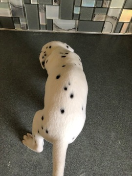 Medium Photo #4 Dalmatian Puppy For Sale in ASHEBORO, NC, USA