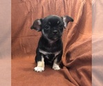 Image preview for Ad Listing. Nickname: Reba