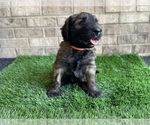 Image preview for Ad Listing. Nickname: Orange Boy