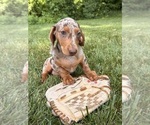 Image preview for Ad Listing. Nickname: Noah