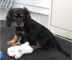 Image preview for Ad Listing. Nickname: Barbies Male
