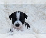 Image preview for Ad Listing. Nickname: Neyah