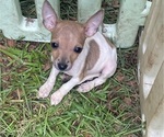 Image preview for Ad Listing. Nickname: Kiara