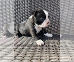 Image preview for Ad Listing. Nickname: Female