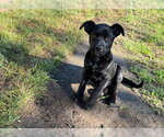 Small #2 Mastador