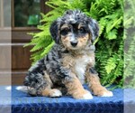 Image preview for Ad Listing. Nickname: Roland