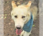 Small #2 Breeder Profile image