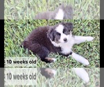 Image preview for Ad Listing. Nickname: Lucia