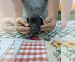  - Photo #2
