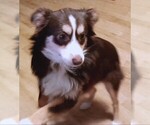 Image preview for Ad Listing. Nickname: Bagsey