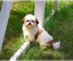 Image preview for Ad Listing. Nickname: Freckles