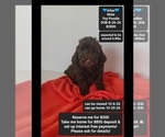 Image preview for Ad Listing. Nickname: Atlas