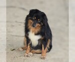Image preview for Ad Listing. Nickname: Louise