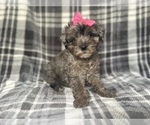 Image preview for Ad Listing. Nickname: Sloane