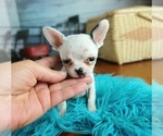 Image preview for Ad Listing. Nickname: Merlies boy