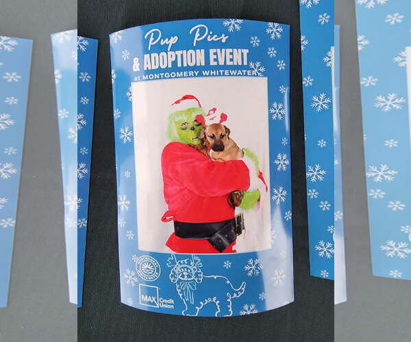 Medium Photo #3 Mutt Puppy For Sale in Wetumpka, AL, USA