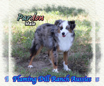 Image preview for Ad Listing. Nickname: Pardon