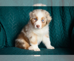 Image preview for Ad Listing. Nickname: River