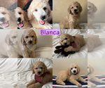 Image preview for Ad Listing. Nickname: Blanca