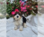 Image preview for Ad Listing. Nickname: Parti Bella