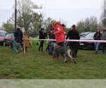 Small #9 Schnauzer (Giant)