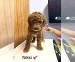 Image preview for Ad Listing. Nickname: Nikki