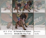 Image preview for Ad Listing. Nickname: Pink Ribbon