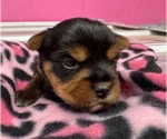 Image preview for Ad Listing. Nickname: Breezy