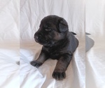Image preview for Ad Listing. Nickname: Maren