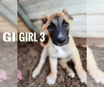 Image preview for Ad Listing. Nickname: Girl 3