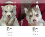 Image preview for Ad Listing. Nickname: Nathan