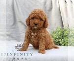 Image preview for Ad Listing. Nickname: Clara