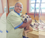 Small #6 Bull-Boxer