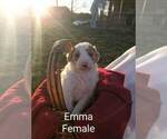 Image preview for Ad Listing. Nickname: Emma