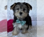 Image preview for Ad Listing. Nickname: LAYNE
