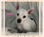 Small #3 Breeder Profile image