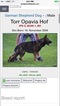 Small Photo #1 German Shepherd Dog Puppy For Sale in CARTHAGE, TN, USA