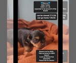 Image preview for Ad Listing. Nickname: Marcus