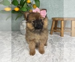 Image preview for Ad Listing. Nickname: Penelope