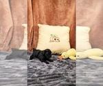  - Photo #4