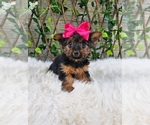 Image preview for Ad Listing. Nickname: Tiny Tilly