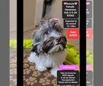 Image preview for Ad Listing. Nickname: Kenzie