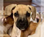 Small #1 Breeder Profile image