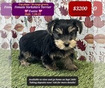 Image preview for Ad Listing. Nickname: Yvette