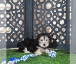 Image preview for Ad Listing. Nickname: AJ